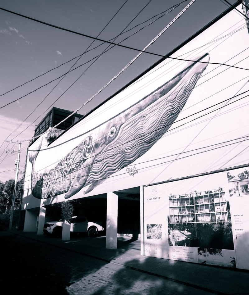 Fine Art Photography Print Sayulita Nayarit Street Art Mural Humpback Whale Mexico