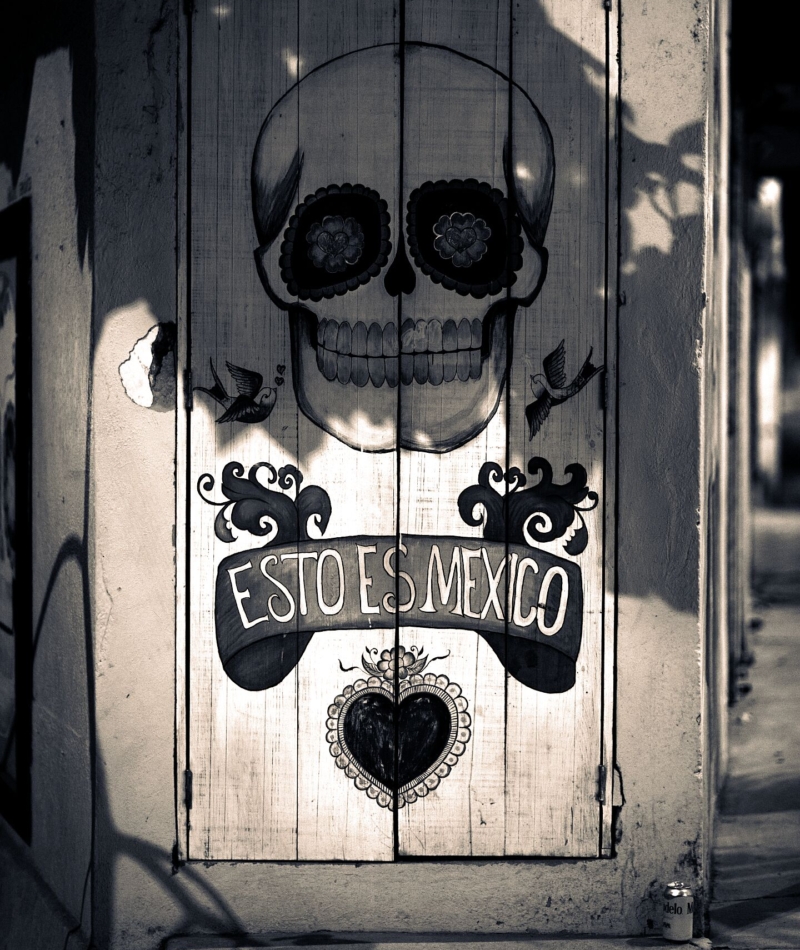 Fine Art Street Photography Print Sayulita Nayarit Street Art Mural Calavera This Is Mexico South America